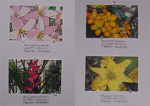 My postcards for the show! 