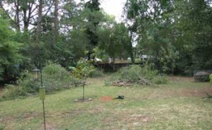 yard_prep