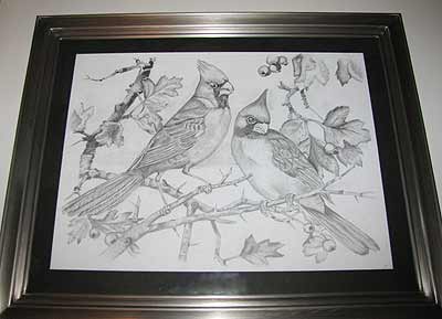 Pencil on Paper, June Pratt 2008