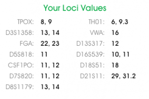 AngLOCIvalues LOCI values